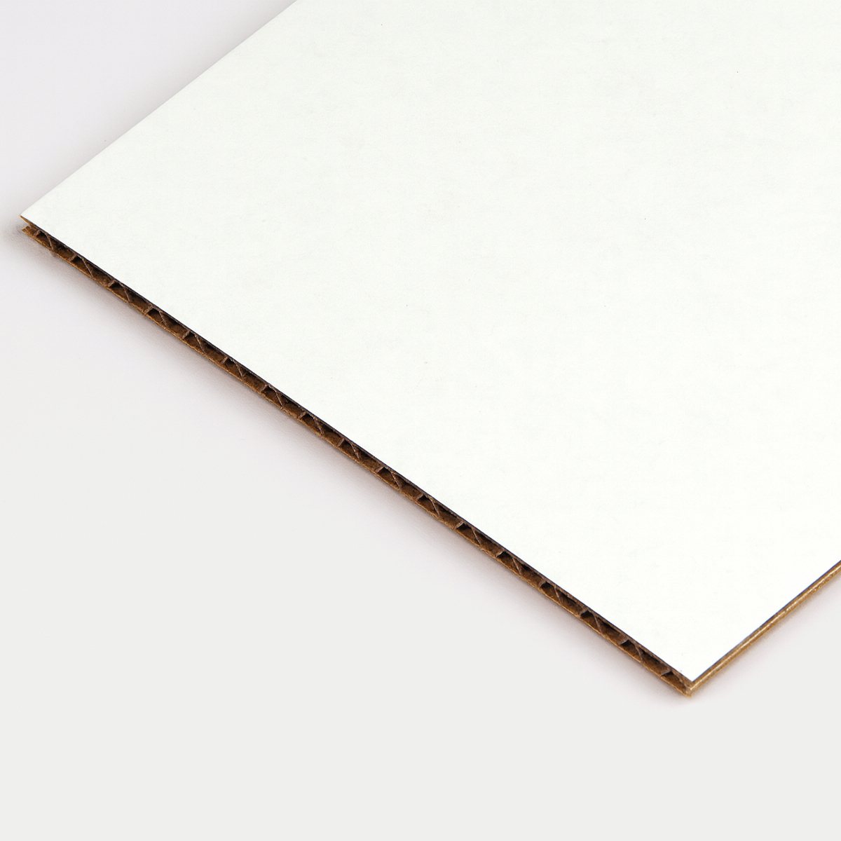 Oyster White Board
