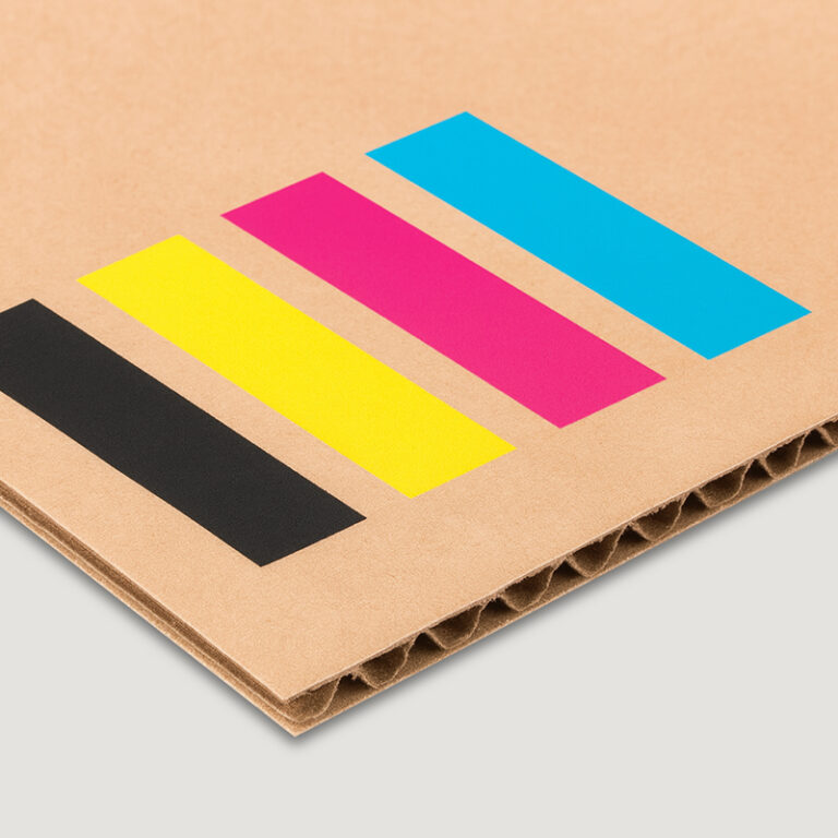 White Undercoat with Color